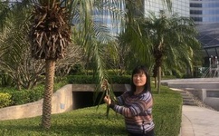 真心英雄手语舞